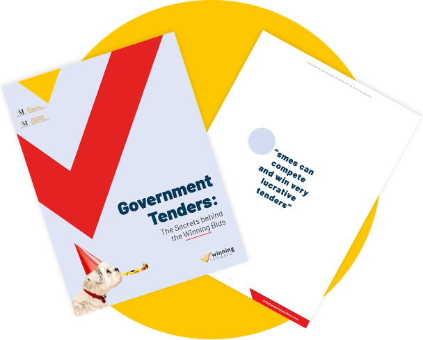 eBook Landing page Winning Tenders